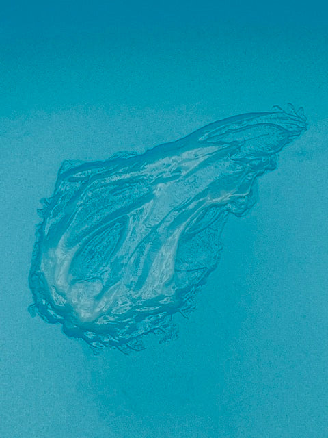SEAL: EXPLORE Cooling Gel Hydrator